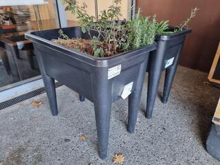 2x Plastic Raised Garden Bed Planters w/ Plants