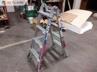 Bailey extendable industrial aluminum ladder