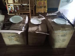 3 Boxes of New Plates
