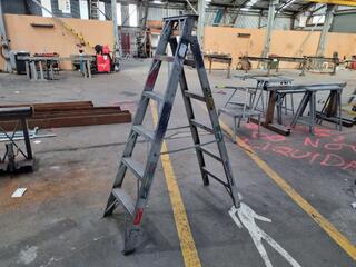 Ullrich Combination Step / Extension Aluninium Ladder