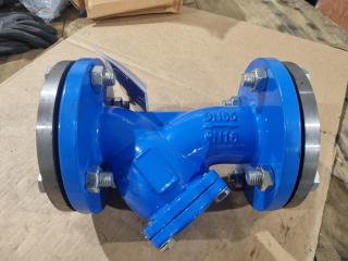 Y-Type DN65 Size Strainer