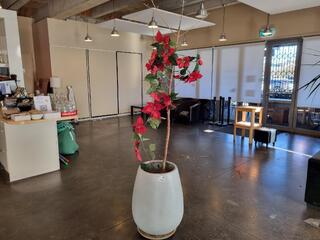 Unknown Potted Tree Species w/ Potted a d Faux Poinsetta Vine
