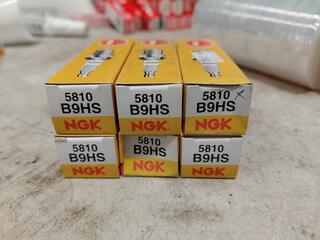 NGK 5810 B9HS spark plugs