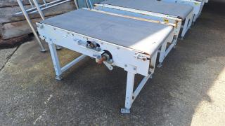 1300mm Conveyor