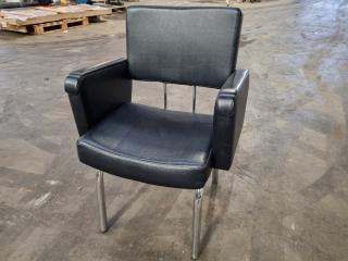 Professional Salon Chair